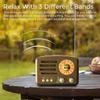 110 Vintage Portable Radio + 160 Retro Transistor Radio view 3
