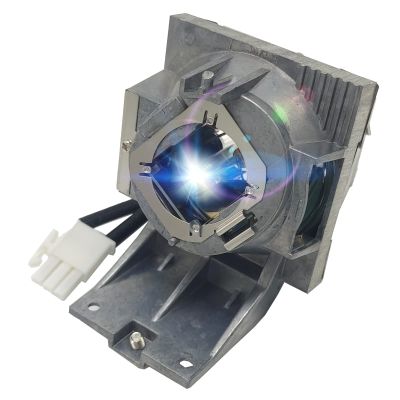CTLAMP A+ Quality RLC-119 Replacement Projector Lamp Bulb with Housing Compatible with Viewsonic PG701WU PX701HD PX701HDH PG701WUH