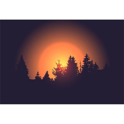 12x10FT Summer Sunset Backdrop Vinyl Orange Sunset Forest Scenery Photography Background Durable Fabric A Bight Sunrise Sky 3D Rendering Wallpaper Decoration Adults Portrait Prop