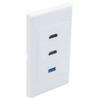 1 Gang 2 Port HDMI 1 Port USB 3.0 Female To Female Wall Plate (2HDMI1USB) view 3