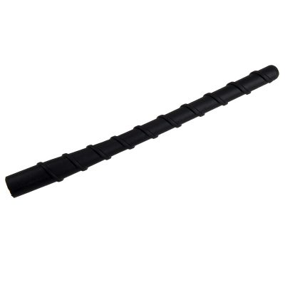Car Pole Antenna 962632E220, for Kia Rondo, for Hyundai Santa Fe Veracruz 2007 2008 2009 2010 2011 2012 962012S000