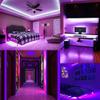 SUYOOULIN LED Strip Lights, SMD 2835 LED Strip, DC12V 1200LEDs 16.4Ft 26000LM High Density LED Light Strips Non-Waterproof IP21, 3 Times Brightness Than SMD3528 LED Strip, Purple view 4