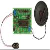 VOICE RECORDING/PLAYBACK MODULE view 2