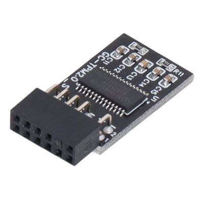 TPM 2.0 Module 12 Pin Security Module SPI Interface Security Module Remote Card Security Module Encryption Security Board Accessory w4 accessories tpm module for GIGABYTE