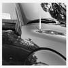 TRUE SPIKE 5.5 inch Fat Spike White Antenna in Heavy Gauge CNC Machined Billet Aluminum Short Compatible with Ford Raptor F-150 view 2