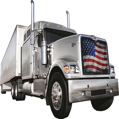 GrilleAdz Old Glory Mesh Bug Screen for International 9900 (Bug Screen Only)