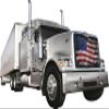 GrilleAdz Old Glory Mesh Bug Screen for International 9900 (Bug Screen Only) view 1