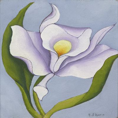 Henrietta Shore : White Orchid : 1925 : Archival Quality Art Print