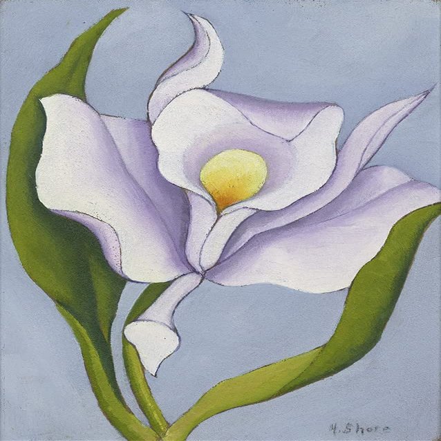 Henrietta Shore : White Orchid : 1925 : Archival Quality Art Print