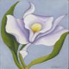 Henrietta Shore : White Orchid : 1925 : Archival Quality Art Print view 1