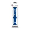 SOAR NFL 38mm Apple Watch Band, Indianapolis Colts view 2