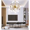 Unique Dandelion 1-Lights Sputnik Chandelier Vintage Gold Chrome Finish Metal During Light Spherical Opaline Glass Shade Hanging Light for Bedroom-Golden 18 Head view 3