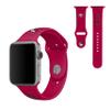SOAR NFL 42mm Apple Watch Band, San Francisco 49ers view 1