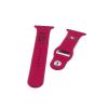 SOAR NFL 42mm Apple Watch Band, San Francisco 49ers view 3