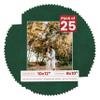 10x12 Mat for 8x10 Photo - Precut Green Suede Picture Matboard for Frames 10 x 12 Inches - Bevel Cut Matte to Display Art 8 x 10 Inches - Acid Free Pack of 25 MATS with Backing Boards & Clear Bags view 1
