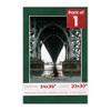 Poster Palooza 24x36 Mat for 20x30 Photo - Precut Green Suede Picture Matboard for Frames Measuring 24 x 36 Inches - Bevel Cut Matte to Display Art Measuring 20 x 30 Inches - Acid Free ONE MAT view 1