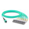 10Gtek MPO (F) to 12x LC OM3 Multi-Mode Fan-Out Patch Cord, 10 ft/3 m, Breakout 0.5m view 1