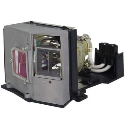 Dekain Projector Lamp Replacement for BL-FU250C / SP.81C01.001 Optoma EzPro 751 EP751 EzPro 758 EP758 Powered by Philips UHP OEM Bulb - 1 Year Warranty