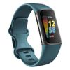 Replacement Bands Compatible with Fitbit Charge 5/6, Silicone Fitness Sport Wristbands for Women/Men, Small/Large (Small, Green Pine Needles) view 1