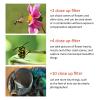 37mm Macro Close Up Filter Set, Plus 1/2/4/10 Macro Filter Mobile Phone Lens Filter for Mobile Phones, Close Up Lens Filter Kit Set Accessory view 3