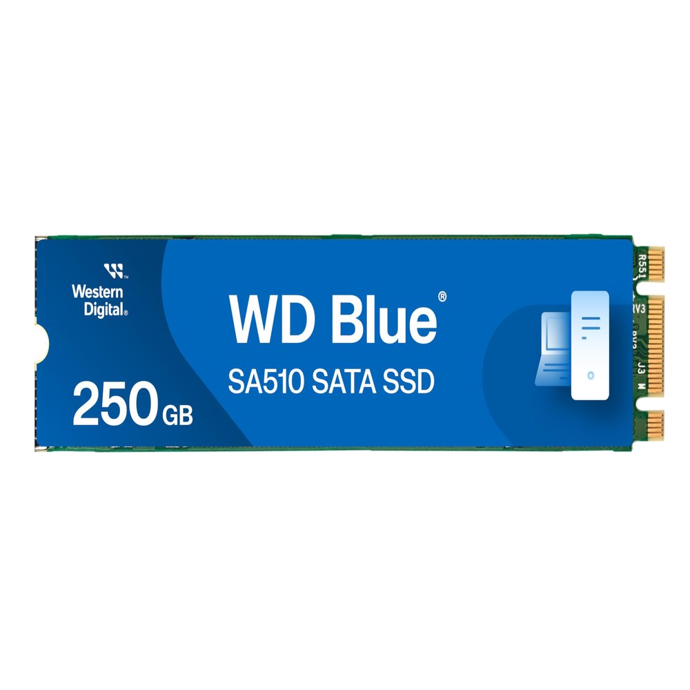 WD Blue SA510 250GB SATA SSD - SATA III 6 Gb/s, M.2 2280, Internal Solid State Drive, Up to 555 MB/s - WDS250G3B0B