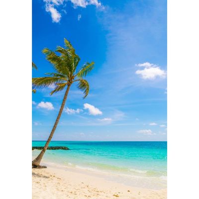 10x12FT Tropical Beach Backdrop Sea, Blue Sky and White Clouds Backdrops Summer Ocean Photography Backdrops Sunshine Luau Themed Party Decorations for Boys Girls Portrait Holiday Travel Banner