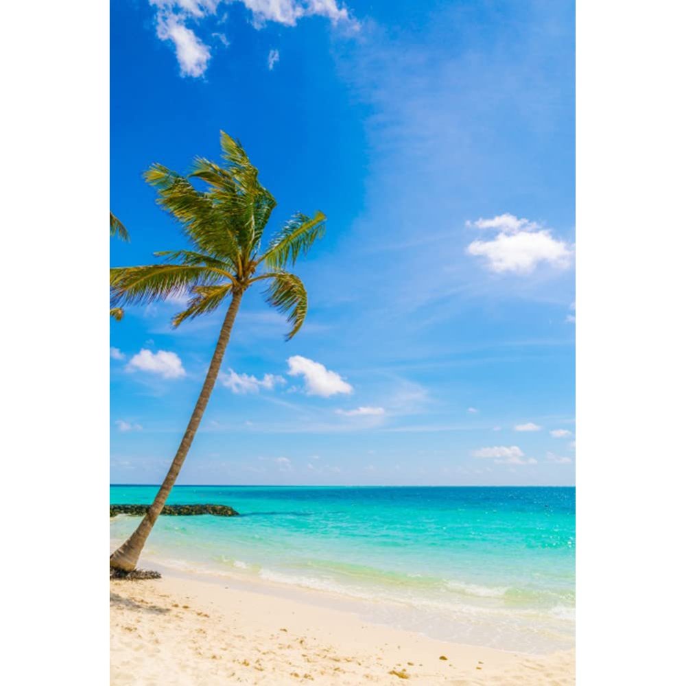 10x12FT Tropical Beach Backdrop Sea, Blue Sky and White Clouds Backdrops Summer Ocean Photography Backdrops Sunshine Luau Themed Party Decorations for Boys Girls Portrait Holiday Travel Banner