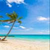 10x12FT Tropical Beach Backdrop Sea, Blue Sky and White Clouds Backdrops Summer Ocean Photography Backdrops Sunshine Luau Themed Party Decorations for Boys Girls Portrait Holiday Travel Banner view 4