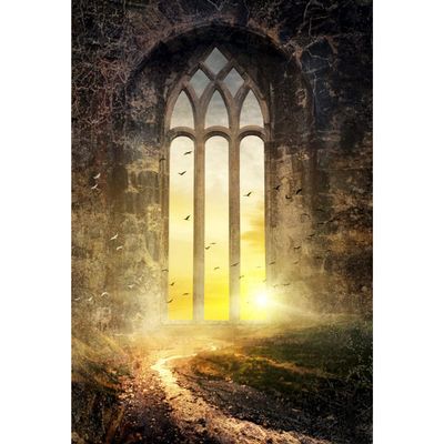 10x12FT Vintage Gothic Architecture Backdrop European Arch Door Backdrops Moonlight Arched Window Photography Backdrop Vintage Castle Ruin House Interior Dusk Sunset Backdrop