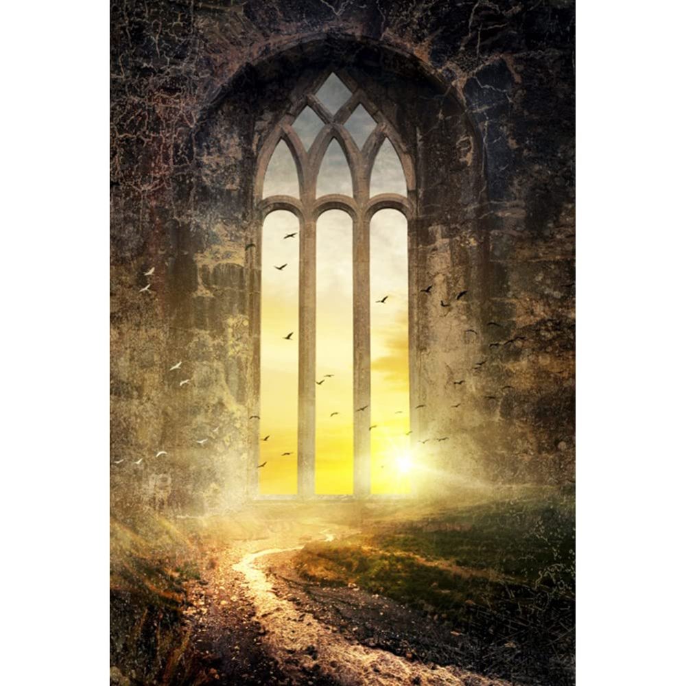10x12FT Vintage Gothic Architecture Backdrop European Arch Door Backdrops Moonlight Arched Window Photography Backdrop Vintage Castle Ruin House Interior Dusk Sunset Backdrop