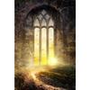 10x12FT Vintage Gothic Architecture Backdrop European Arch Door Backdrops Moonlight Arched Window Photography Backdrop Vintage Castle Ruin House Interior Dusk Sunset Backdrop view 1