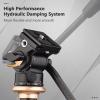 Andoer Compact Camera Video Fluid Head Pan Tilt Tripod Head Panorama Ballhead Tripod Mount Aluminum Alloy 1/4 Inch Screw 10kg/22lbs Load Capacity with Detachable Handle 2pcs Quick Release Plate view 4