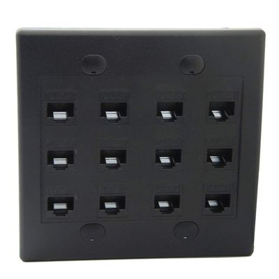 2Gang Colorful 12 Ports CAT6 RJ45 Female To Female Wall Plate (Black)