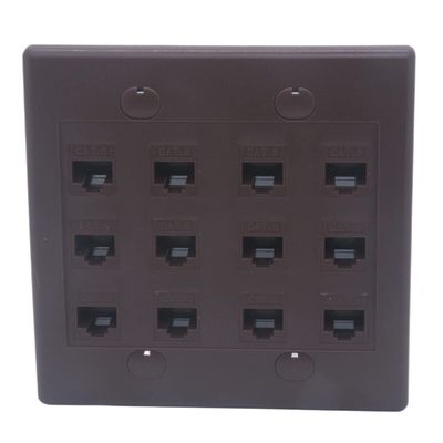 2Gang Colorful 12 Ports CAT6 RJ45 Female To Female Wall Plate (Brown)