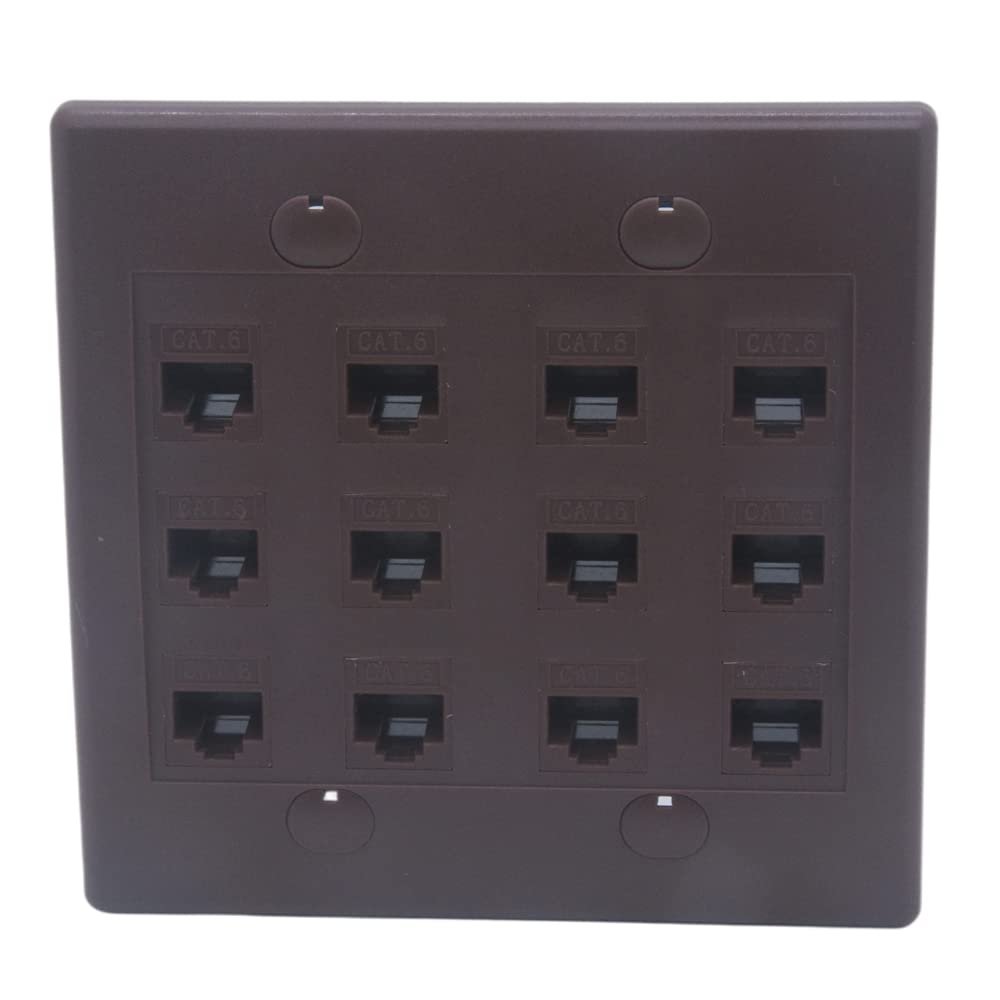 2Gang Colorful 12 Ports CAT6 RJ45 Female To Female Wall Plate (Brown)