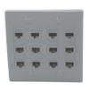 2Gang Colorful 12 Ports CAT6 RJ45 Female To Female Wall Plate (Almond) view 1