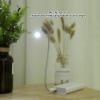 Mini Flexible LED USB Reading Lamp Computer Laptop Keyboard Light for Computer Laptop Notebook PC Reading Books , USB Night Light , USB Night Light , Mini Flexible LED USB Reading LamComputer Light view 4