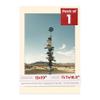 13x19 Mat Bevel Cut for 11.7x16.5 Photos - Acid Free Cream Precut Matboard With Backing Board and Crystal Clear, Self Seal Photo Mat Bag - For Pictures, Photos, Framing - 4-ply Thickness view 1