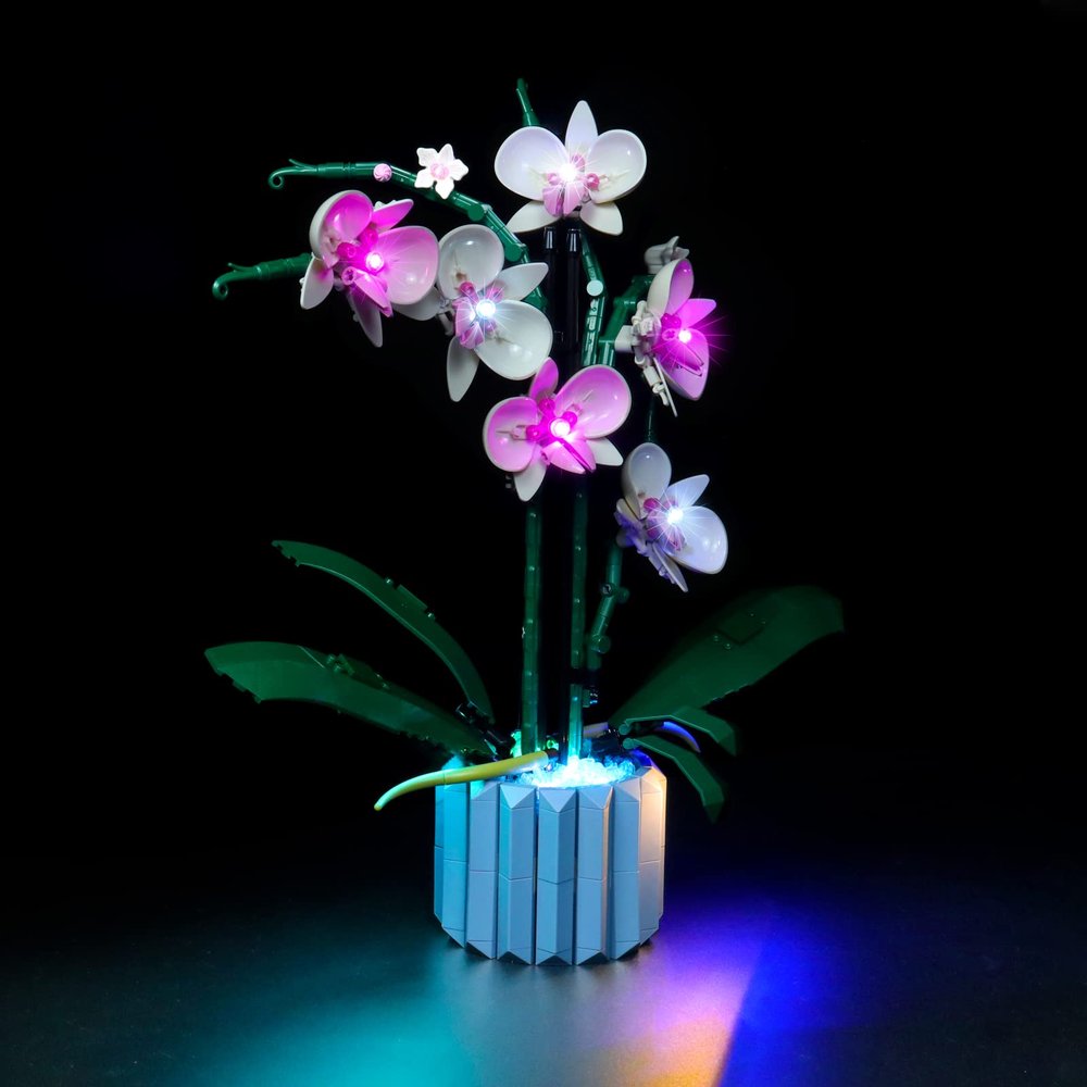 LED Light Kit for Lego Orchid 10311 Plant Decor Building Set; Decoration Lights Build a Succulents Display Piece for The Home or Office (Lights Only, No Lego Models)