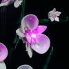 LED Light Kit for Lego Orchid 10311 Plant Decor Building Set; Decoration Lights Build a Succulents Display Piece for The Home or Office (Lights Only, No Lego Models) view 3