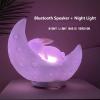 Moon Cute Tooth Rabbit pat Light Radio Card Bluetooth speaker Colorful Light Cute pet Sleep Home Creative Bedroom Bedside Table lamp view 3