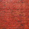 10x10ft Red Brick Wall Photography Backdrop Photo Backdrops Background Baby Birthday Party Wedding Graduation Home Decoration Photo Booth Studio Prop Kids Adult Portrait Background view 2