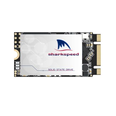 S SHARKSPEED 2242 NGFF 256GB M.2 SSD Plus Internal M2 SSD 3D NAND SATA III 6 Gb/s,Solid State Drive for Notebooks Desktop PC (M.2 2242 256GB)