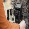 SPYPOINT 32GB Micro SD Memory Card Trail for Cameras | Adapter Media Storage for Trail and Game Cameras Designed | Used in Hunting and Trail Cams (Class 10 Speed) view 2