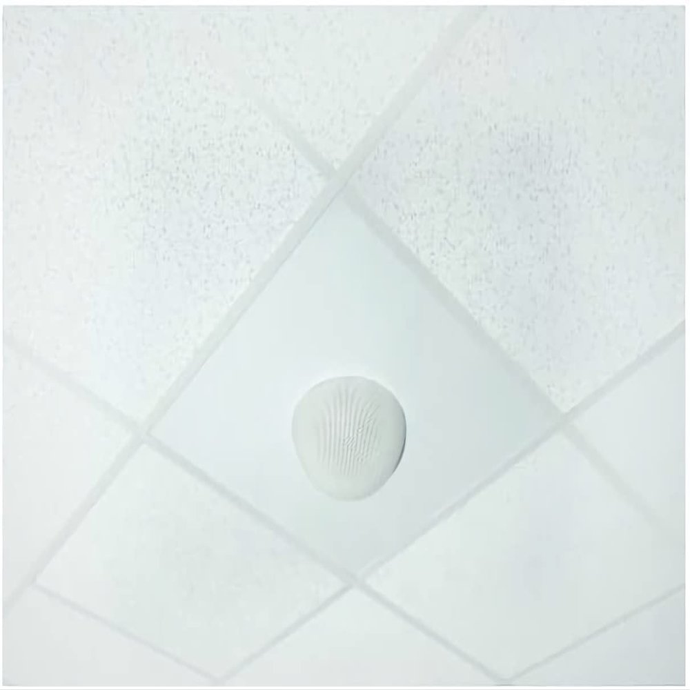 OWI Audio 2X2PB-HD-NEP-1W Omni Directional Wide Dispersion Surface Mount Speaker; Package Includes: 2x2 White Amplified Neptune Speaker with HD AMP in Plenum Box