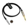 Timecode-Cable for Sound Devices 833 to Denecke TS-3 Slate 5 Pin Male to 1/4 Mono TS Time Code Bidirectional Cable 1M|39.7inches view 1