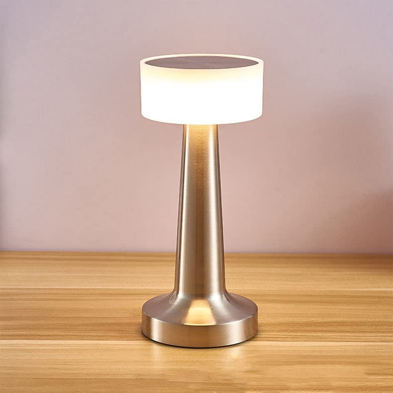 Leroxo Portable LED Table Lamp, 3 Color Touch Control Rechargeable, 3-Levels Brightness, Silver