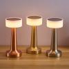 Leroxo Portable LED Table Lamp, 3 Color Touch Control Rechargeable, 3-Levels Brightness, Silver view 4