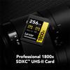 Lexar 256GB Professional 1800x UHS-II SDXC Memory Card (Gold Series) view 2