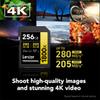 Lexar 256GB Professional 1800x UHS-II SDXC Memory Card (Gold Series) view 4